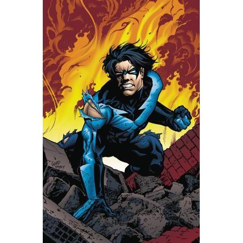 NIGHTWING TP VOL 06 TO SERVE AND PROTECT